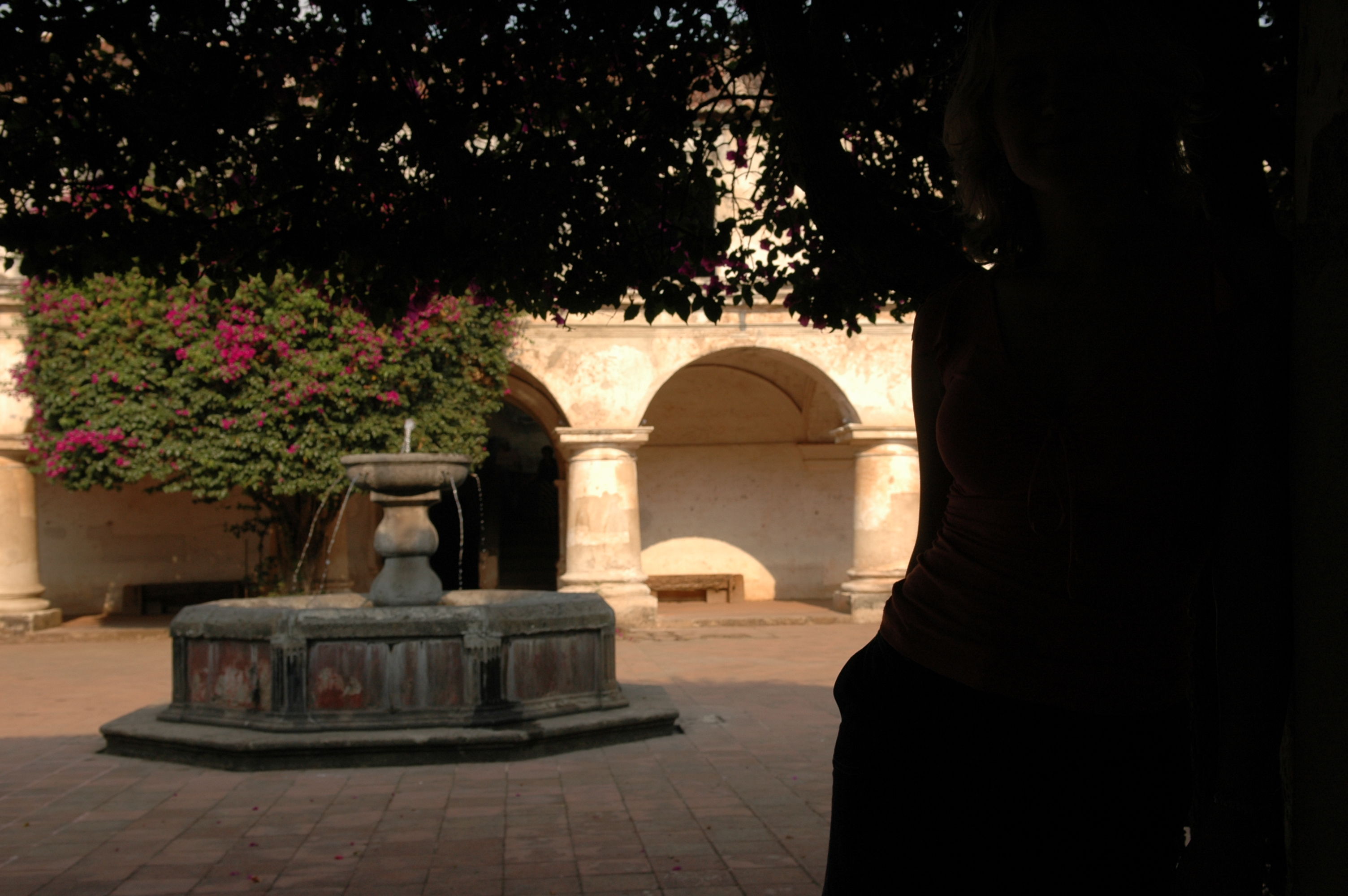dsc_1011.jpg