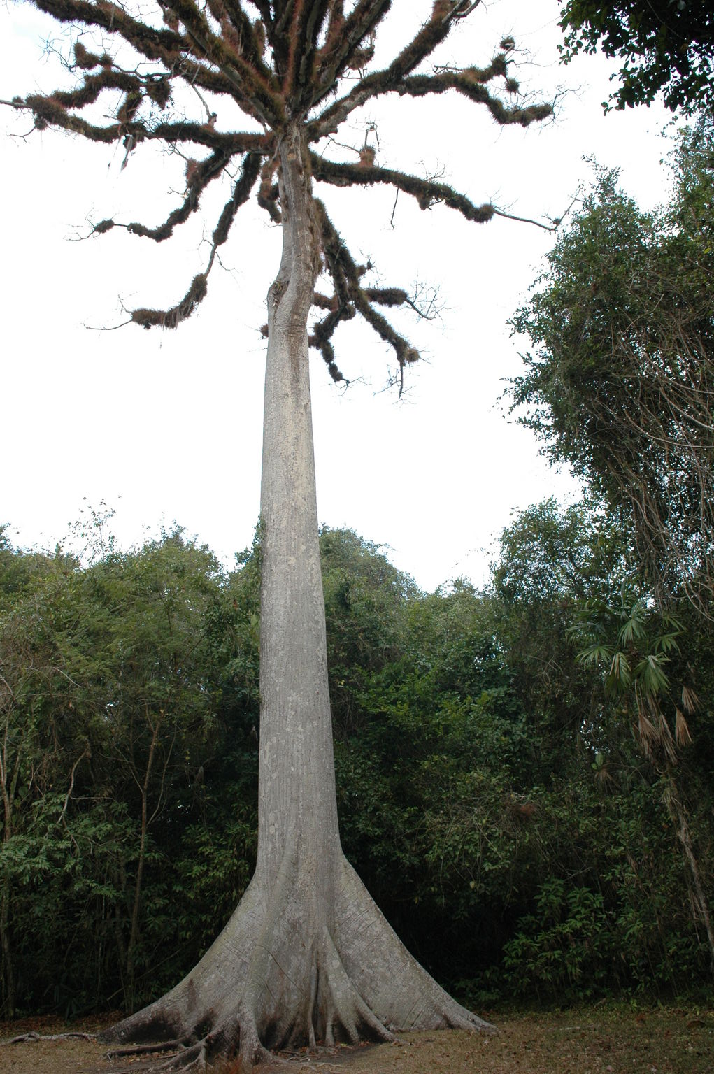 dsc_1214.jpg