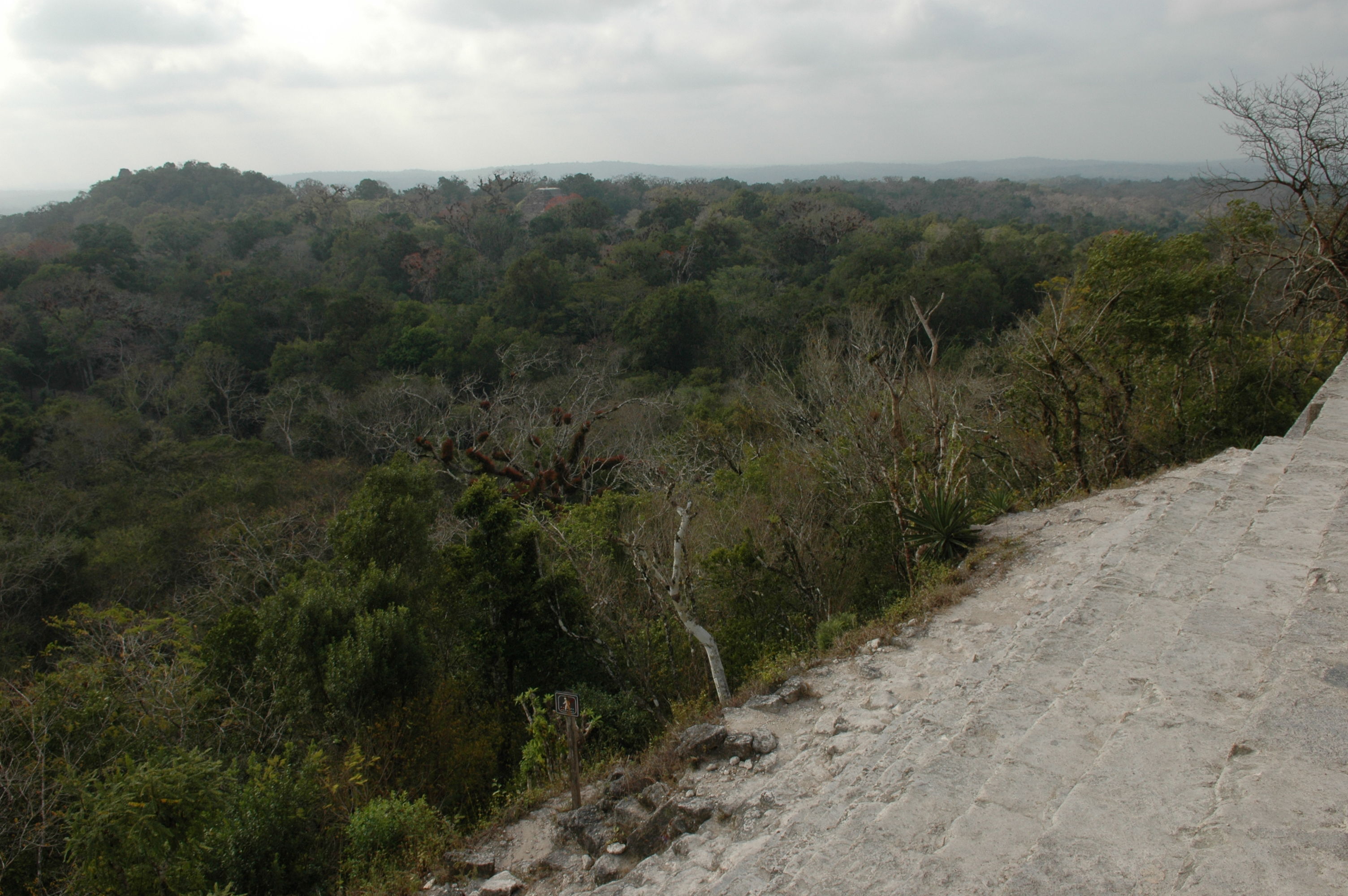 dsc_1244.jpg