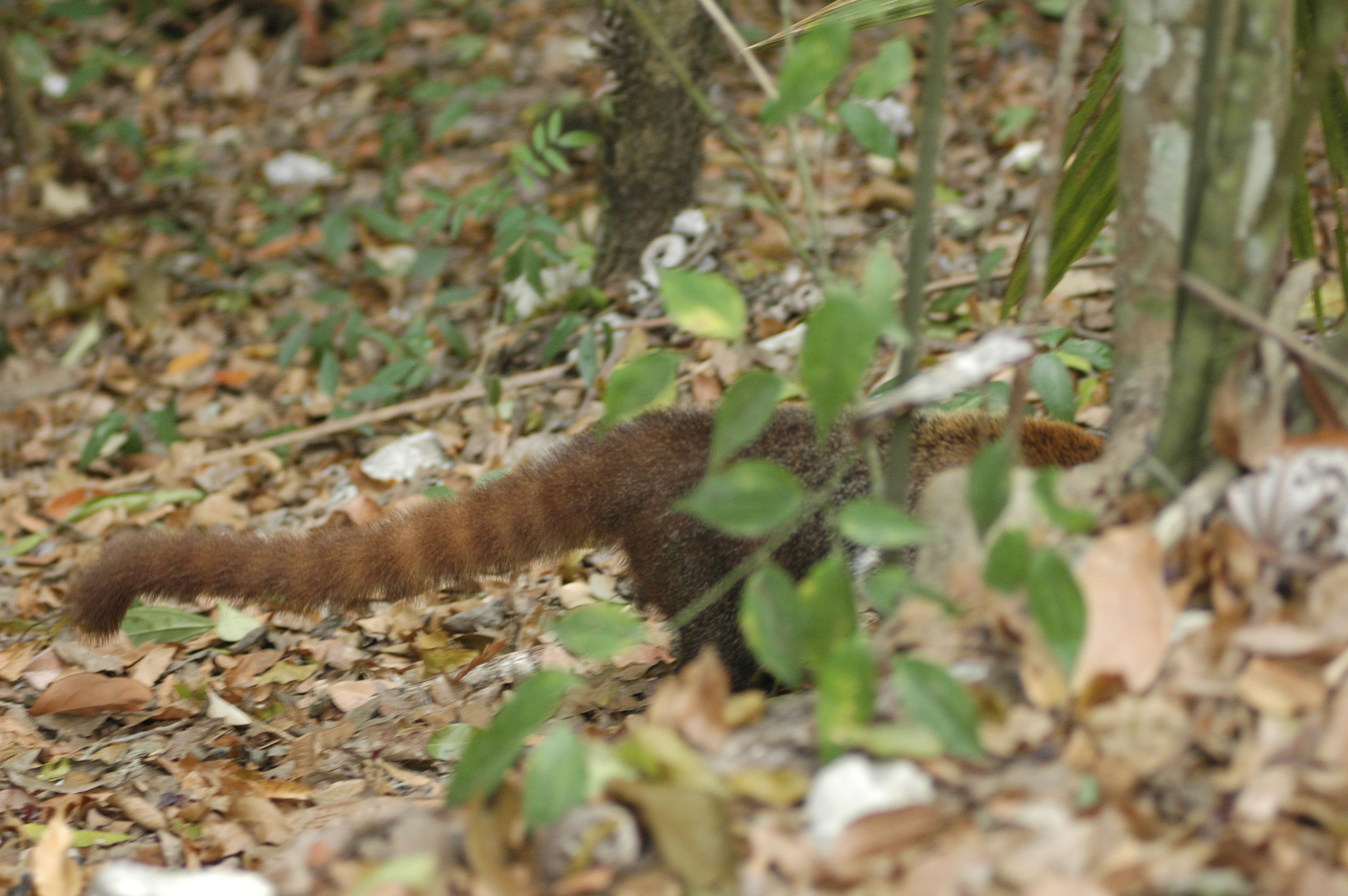 dsc_1291.jpg