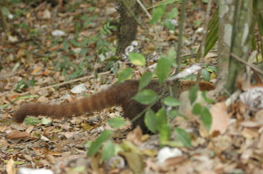dsc_1291.jpg