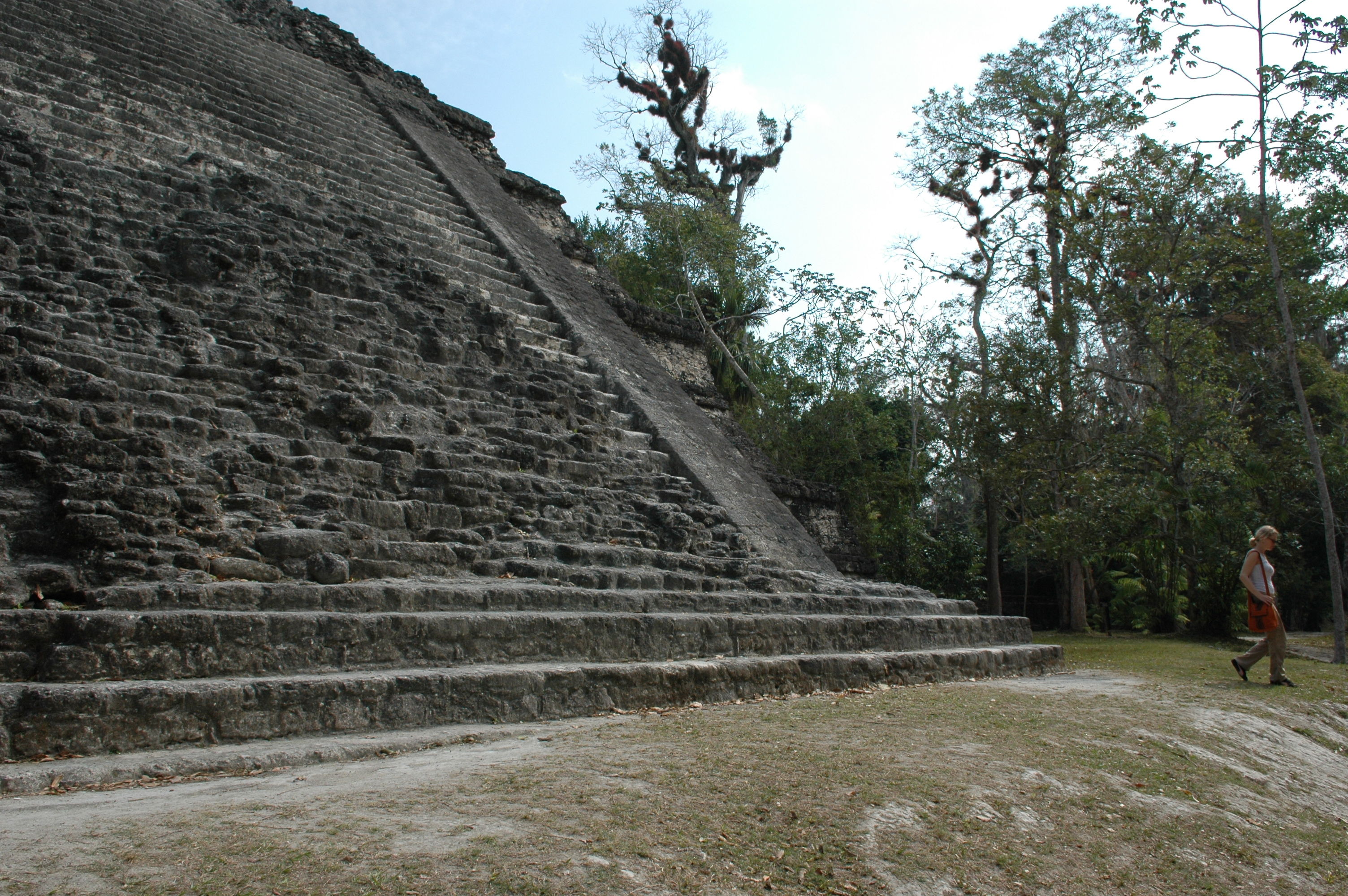 dsc_1302.jpg