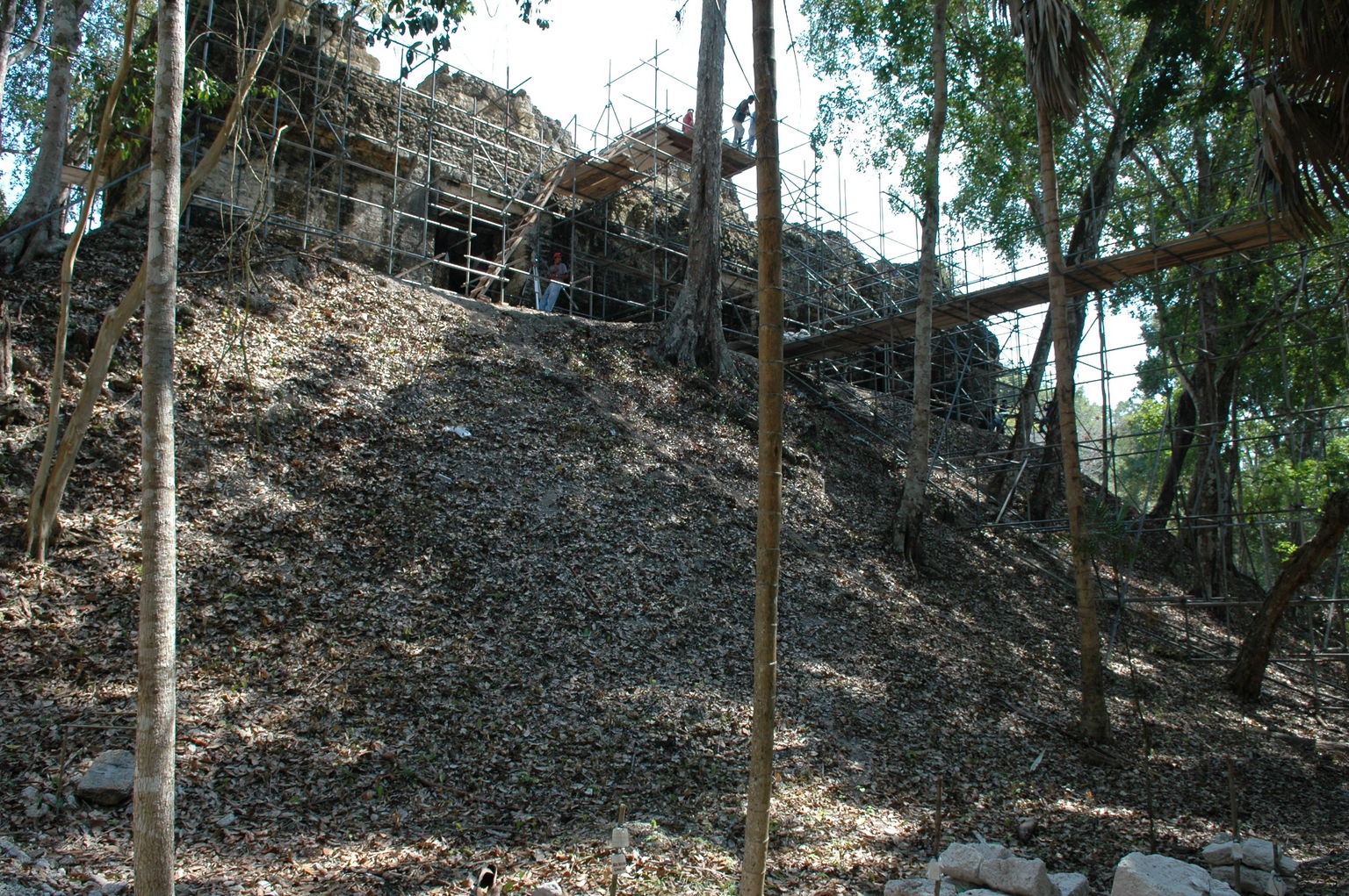 dsc_1386.jpg