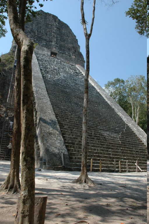 dsc_1406.jpg