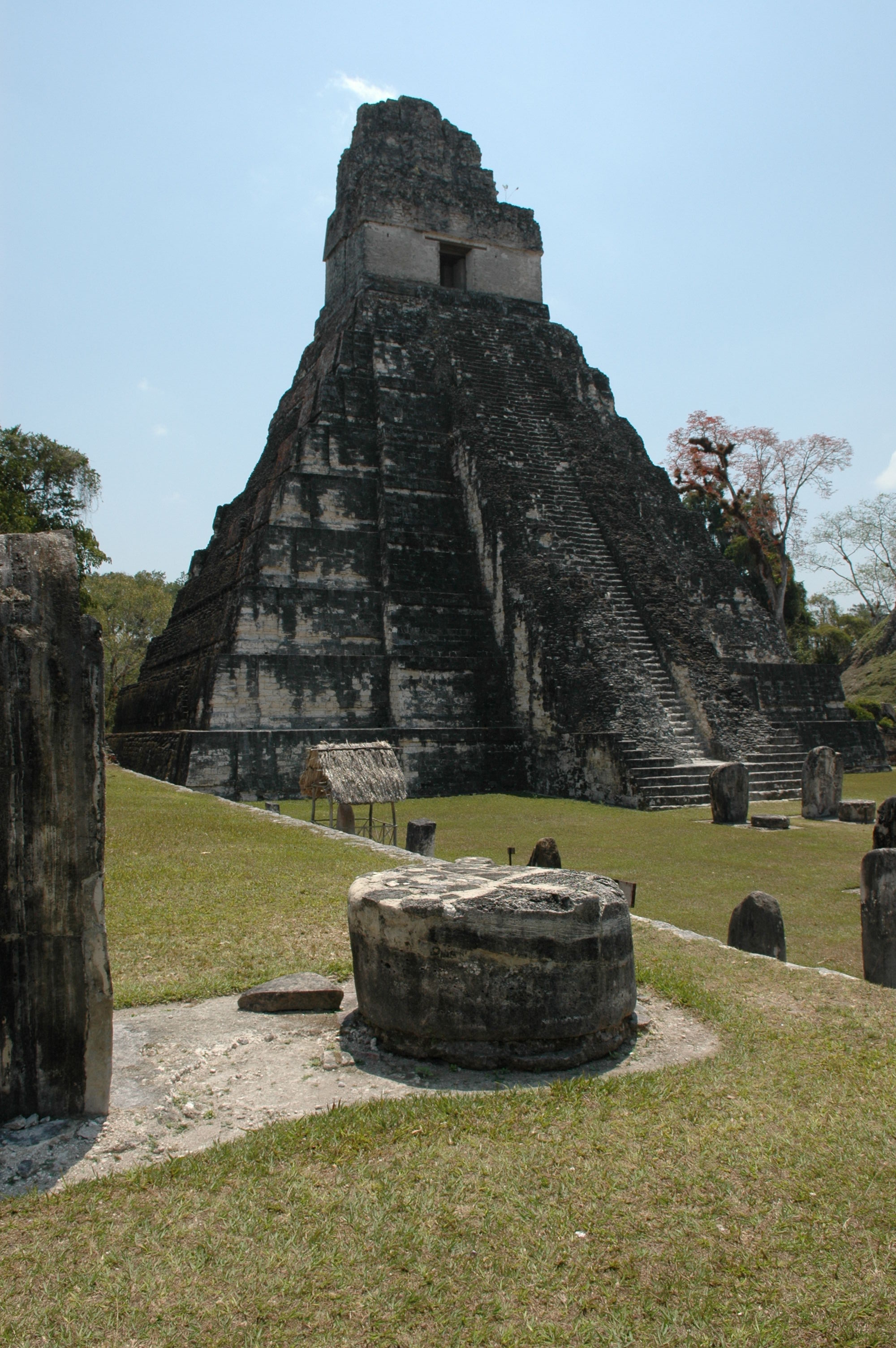 dsc_1456.jpg