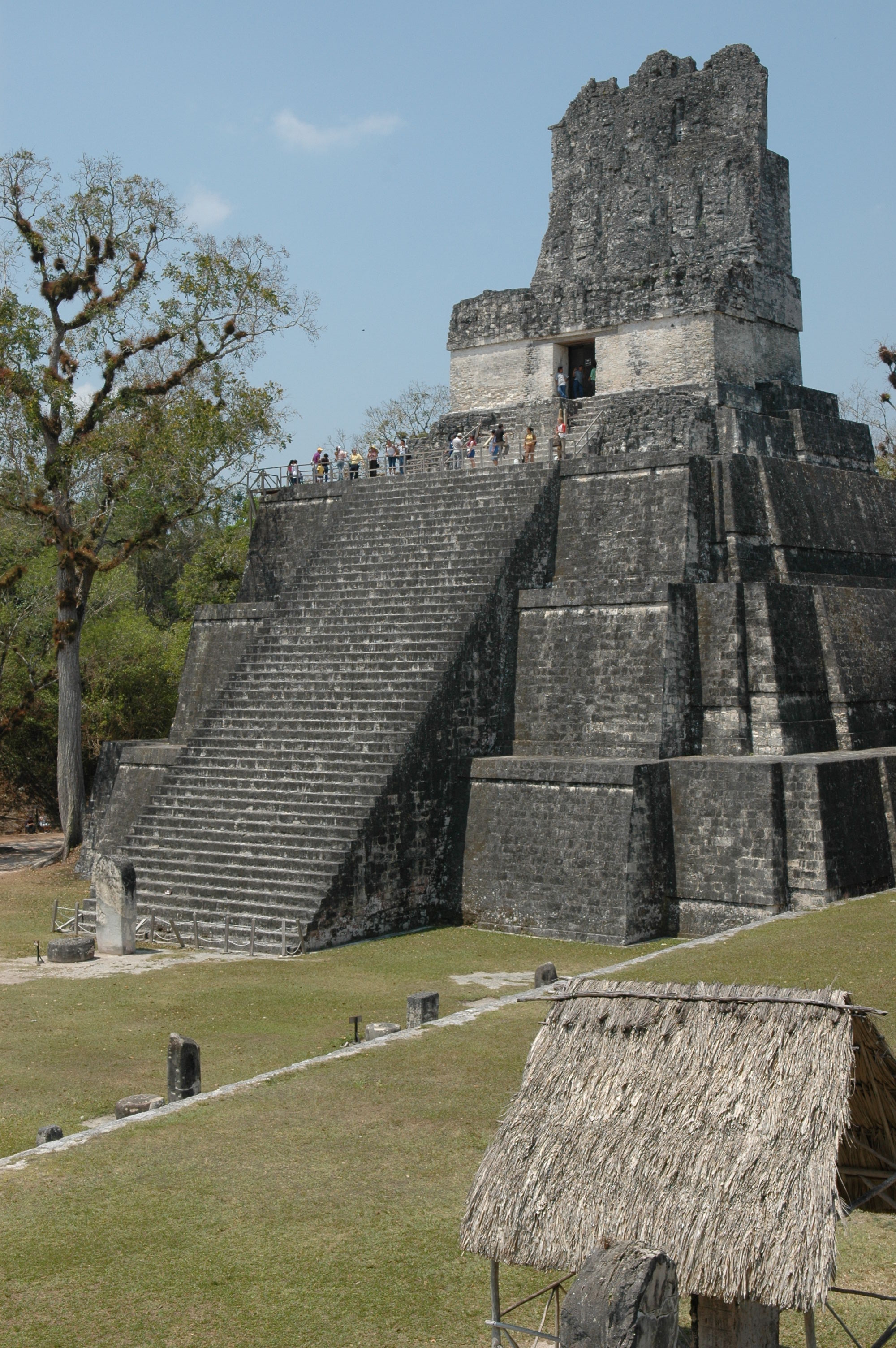 dsc_1460.jpg
