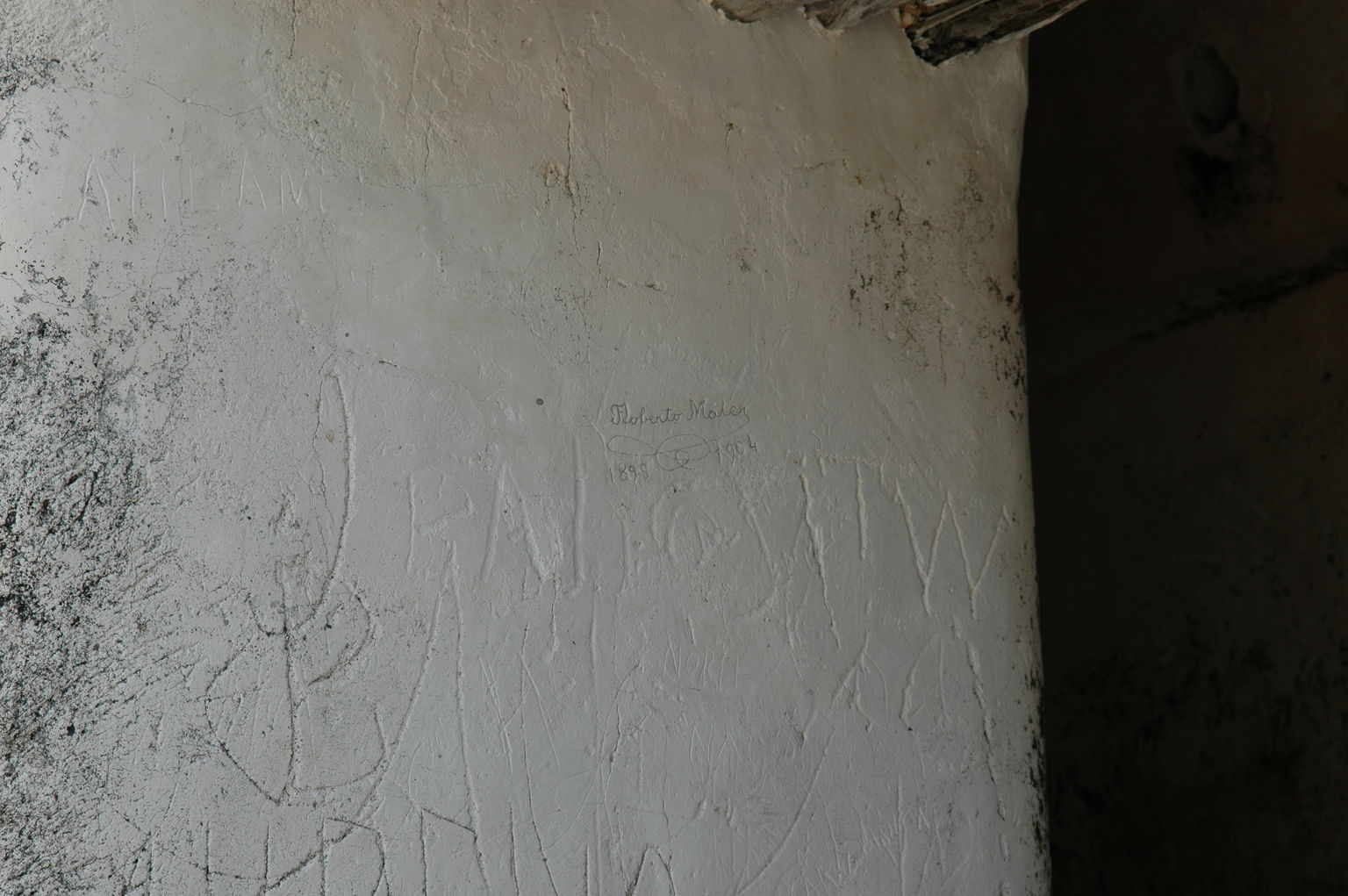 dsc_1493.jpg