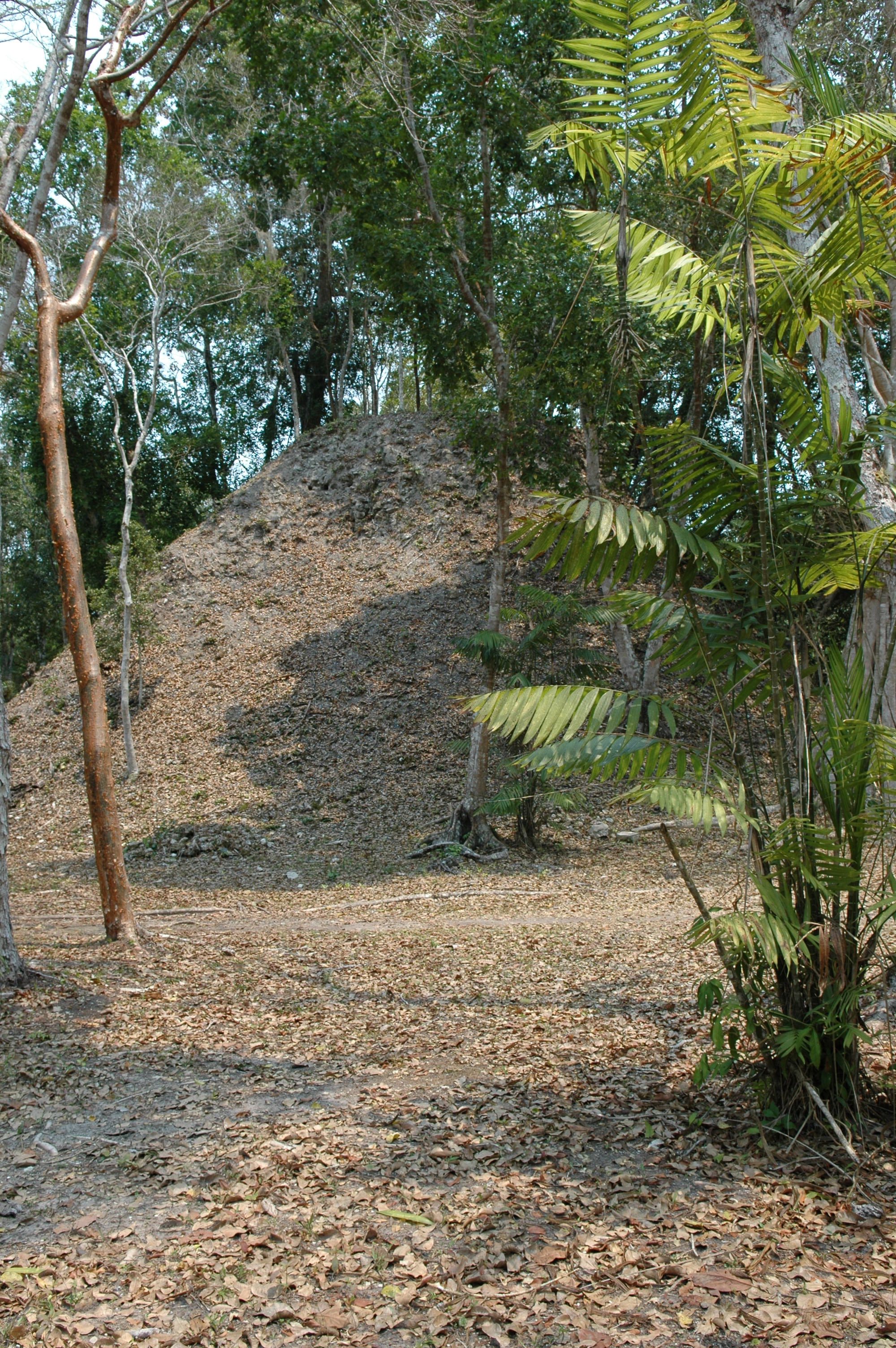 dsc_1581.jpg