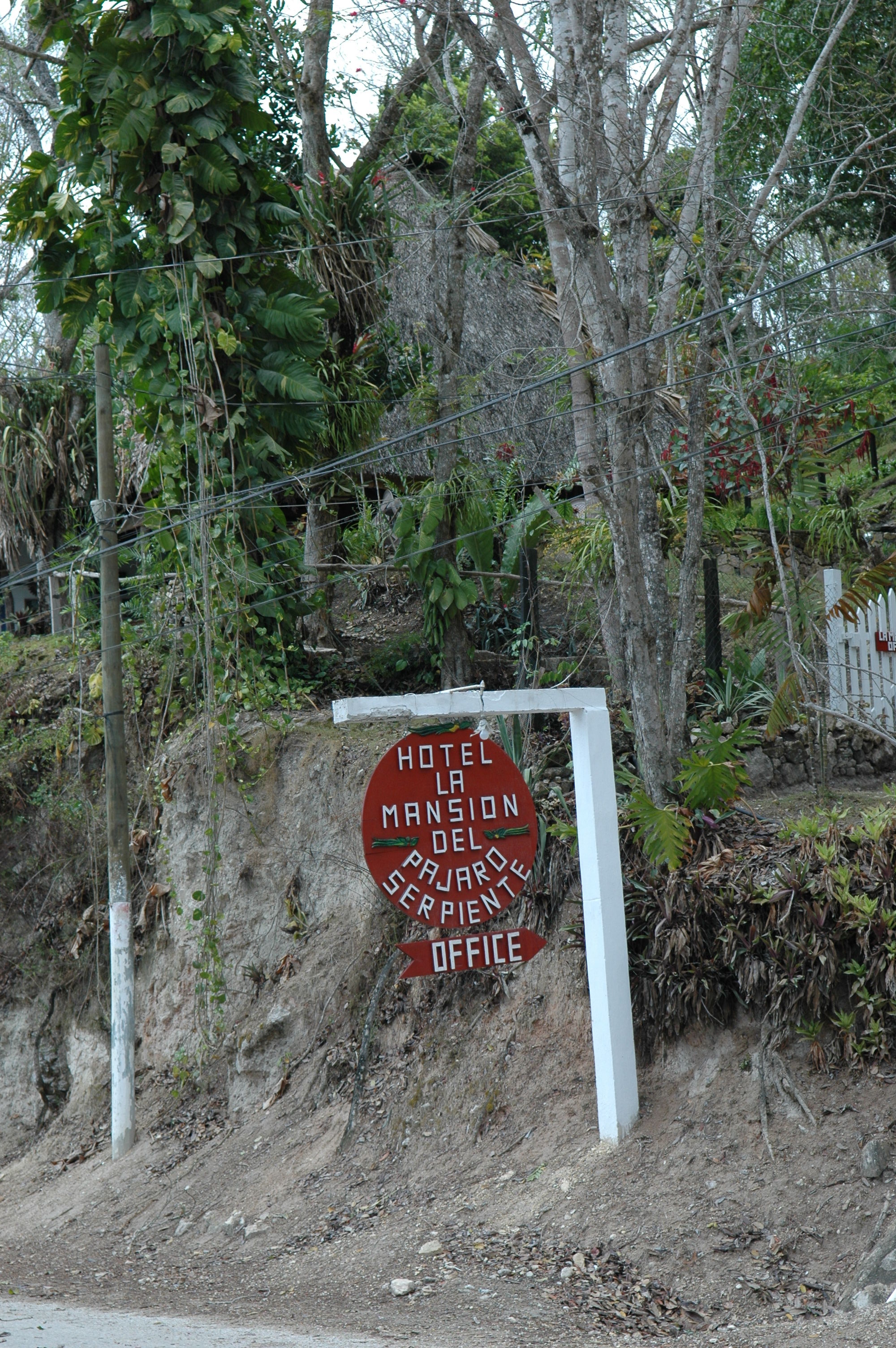 dsc_1658.jpg