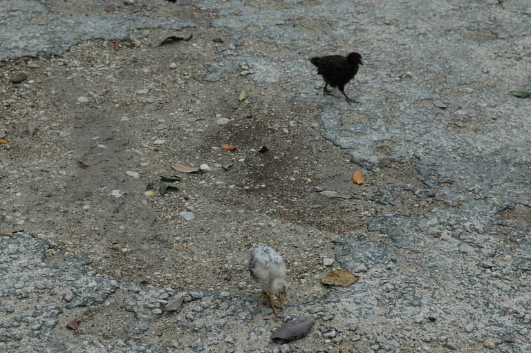 dsc_1663.jpg