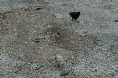 dsc_1663.jpg