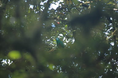 dsc_1884.jpg