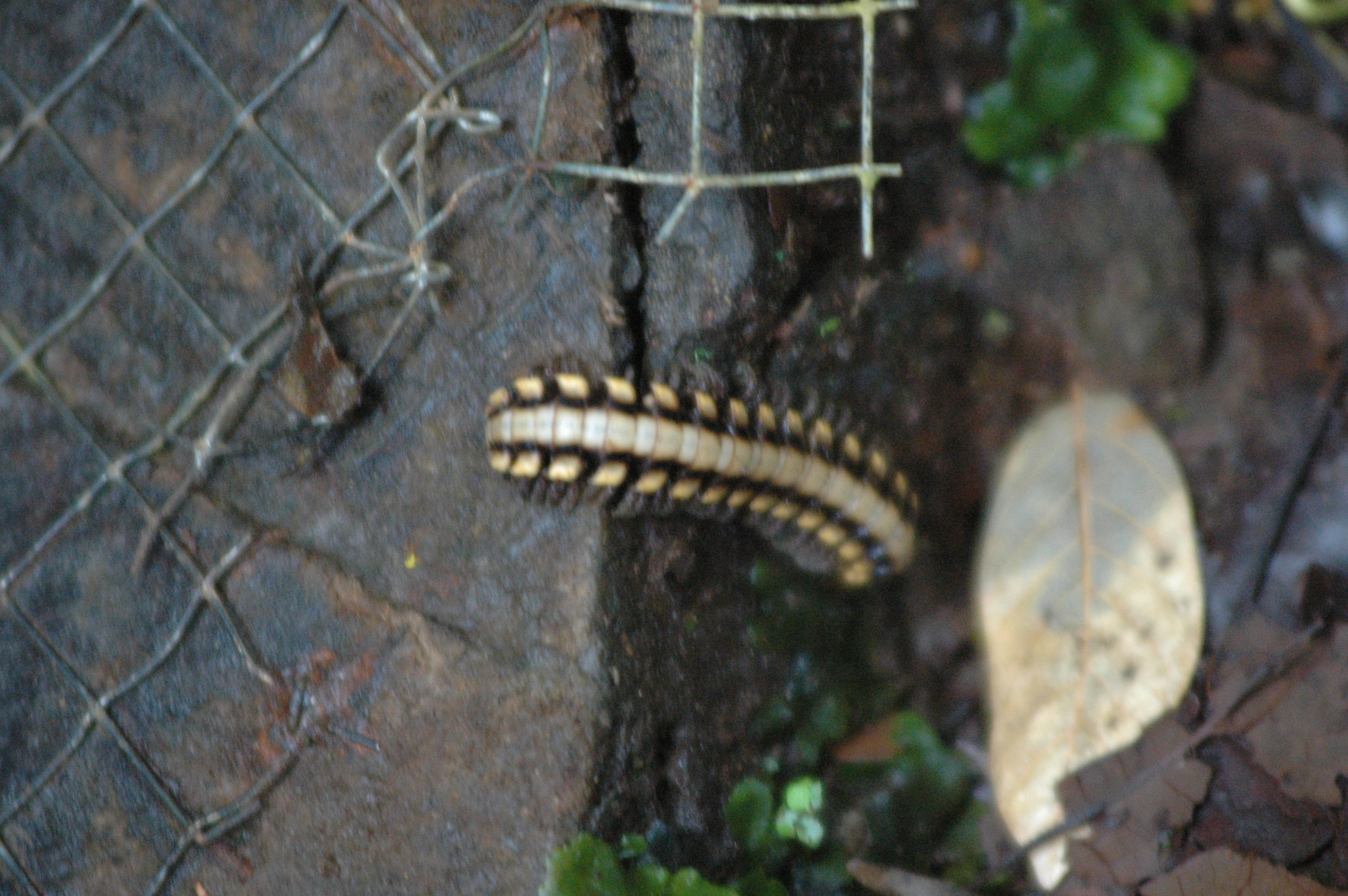 dsc_1913.jpg