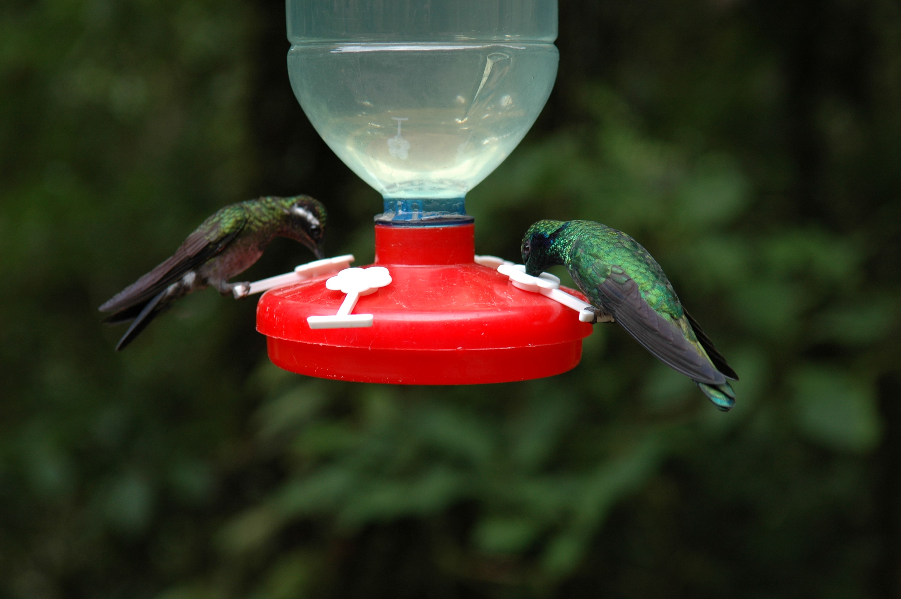 dsc_2042.jpg