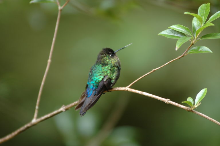 dsc_2057.jpg