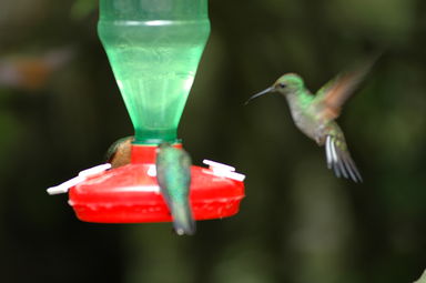 dsc_2062.jpg