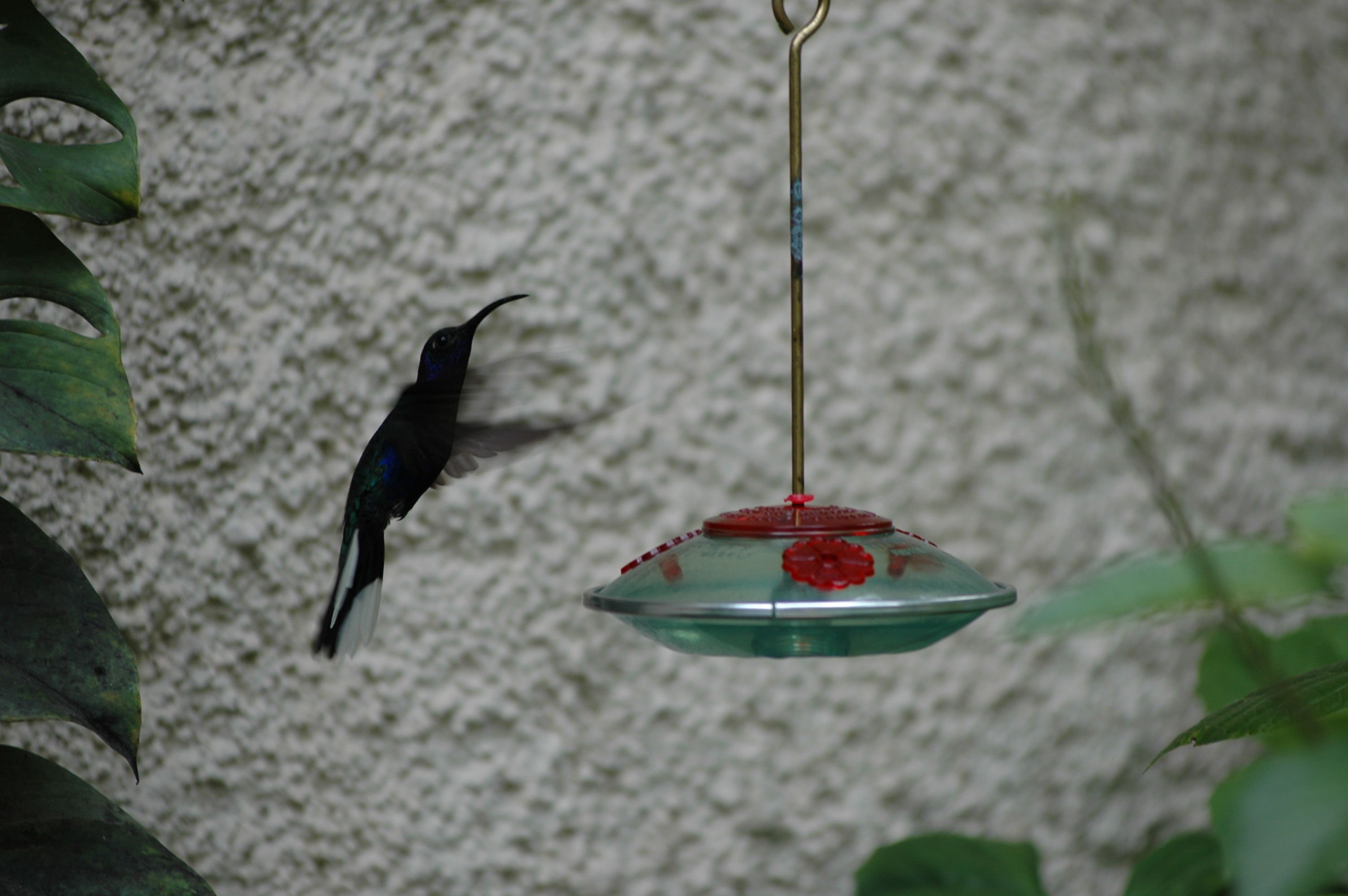 dsc_2066.jpg