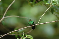 dsc_2077.jpg