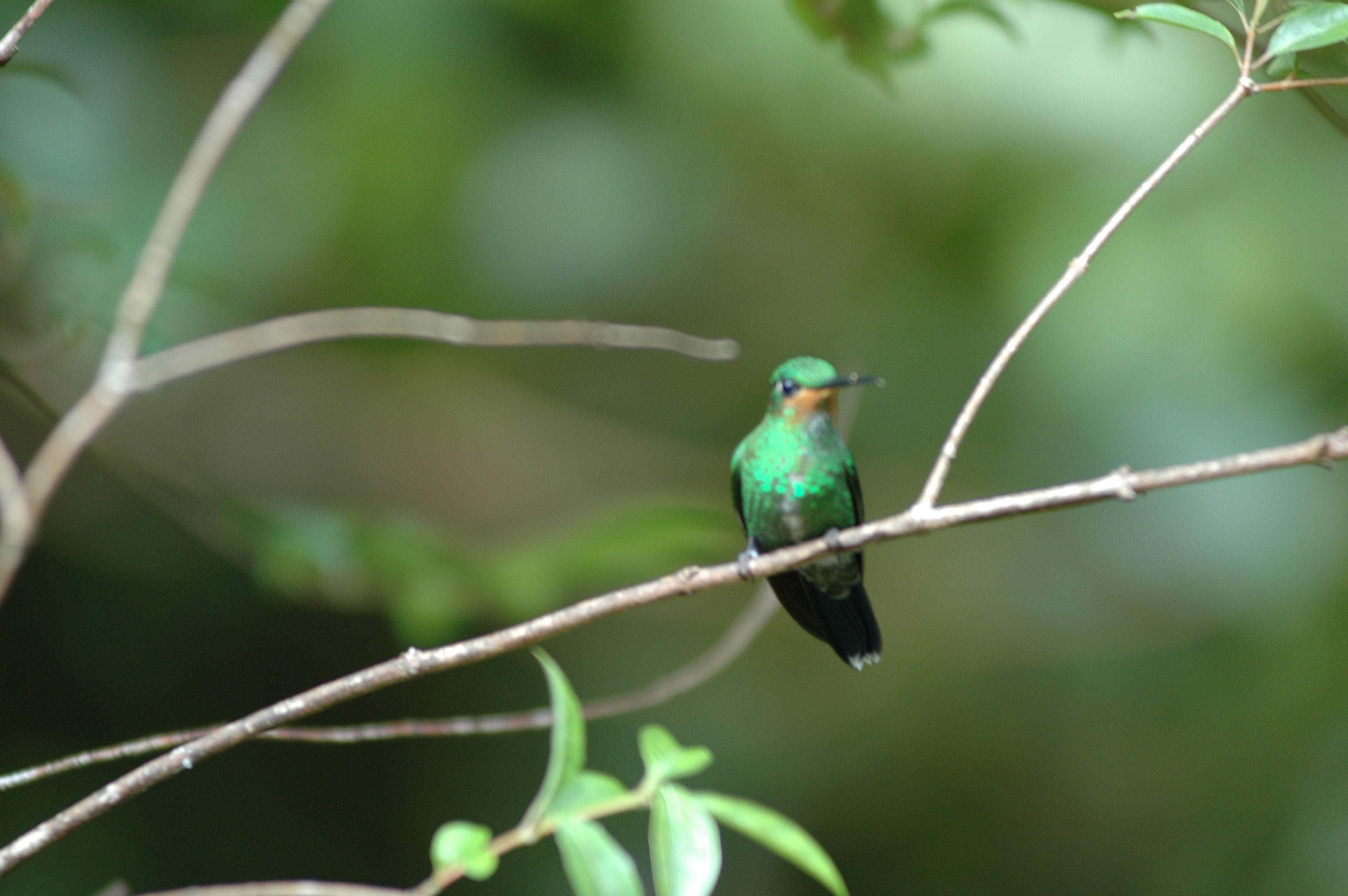 dsc_2080.jpg