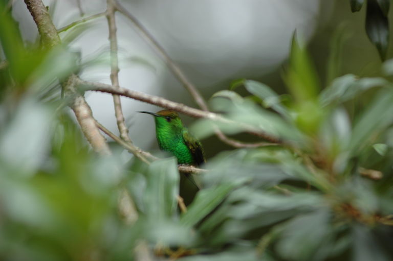 dsc_2086.jpg