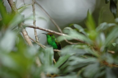 dsc_2086.jpg