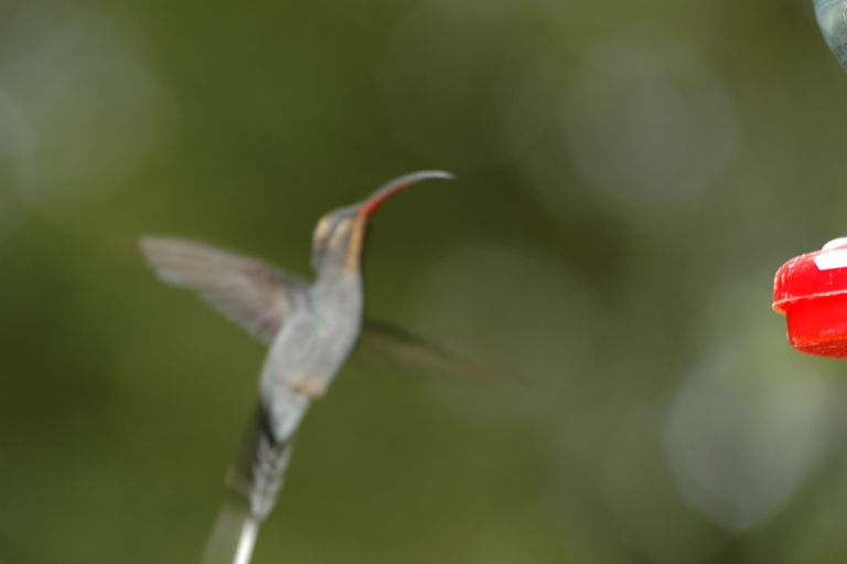 dsc_2113.jpg