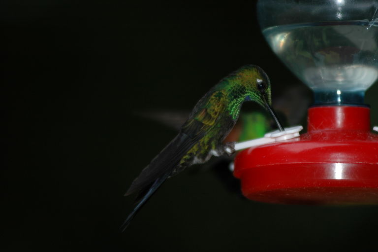 dsc_2135.jpg