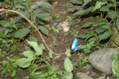 dsc_2241.jpg