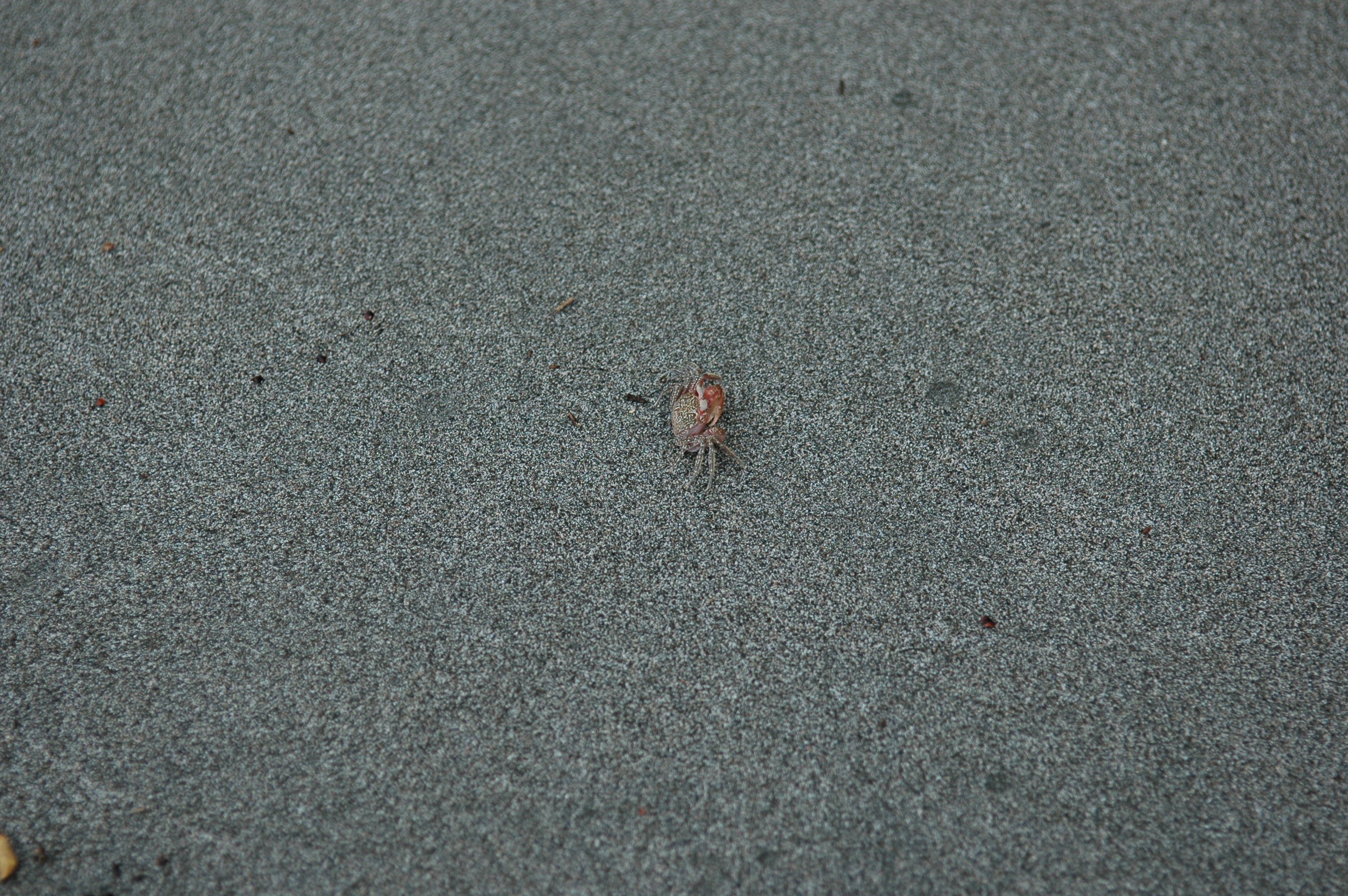 dsc_2314.jpg