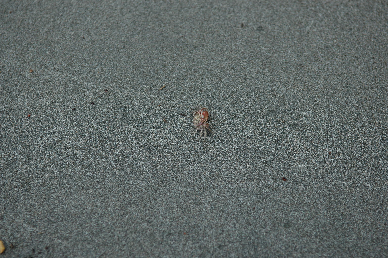 dsc_2314.jpg