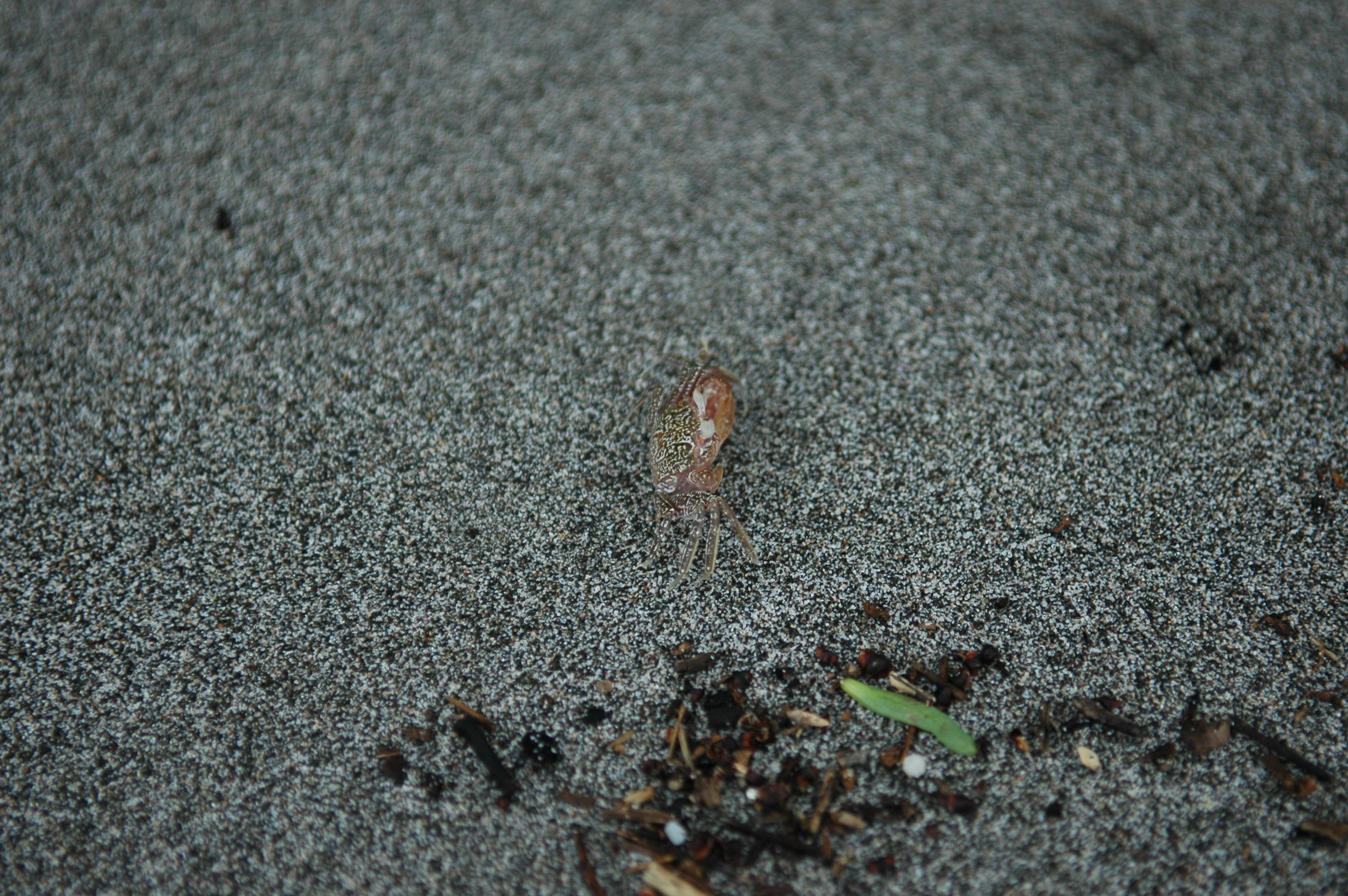 dsc_2316.jpg