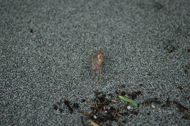 dsc_2316.jpg