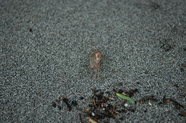 dsc_2316.jpg