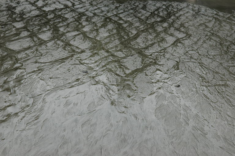 dsc_2322.jpg