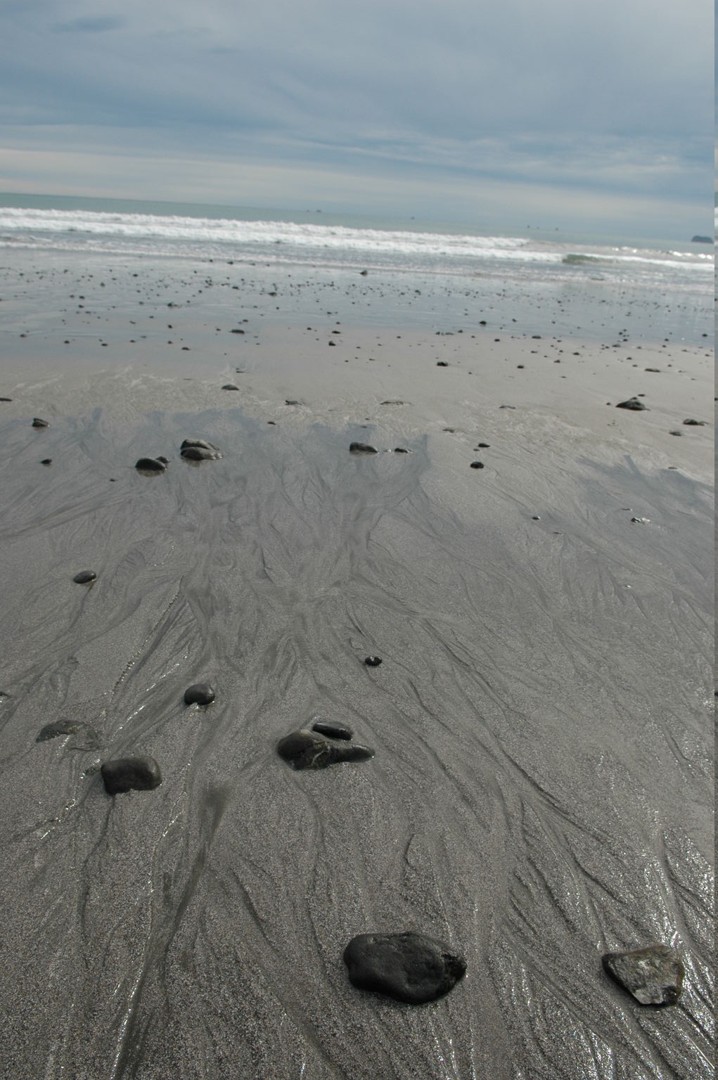 dsc_2327.jpg