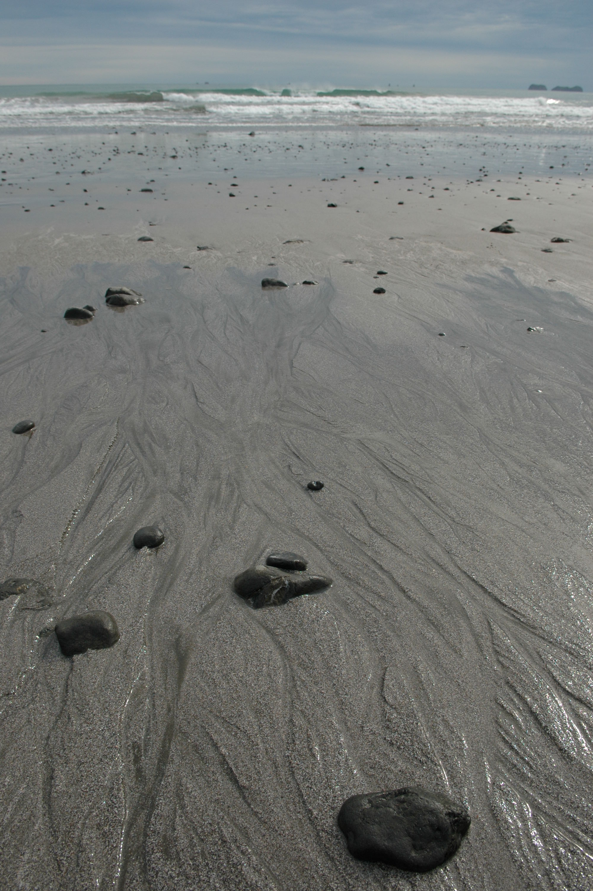 dsc_2328.jpg