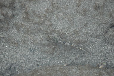 dsc_2353.jpg