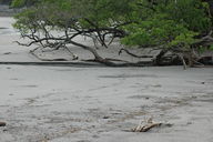 Playa Pan de Azúcar