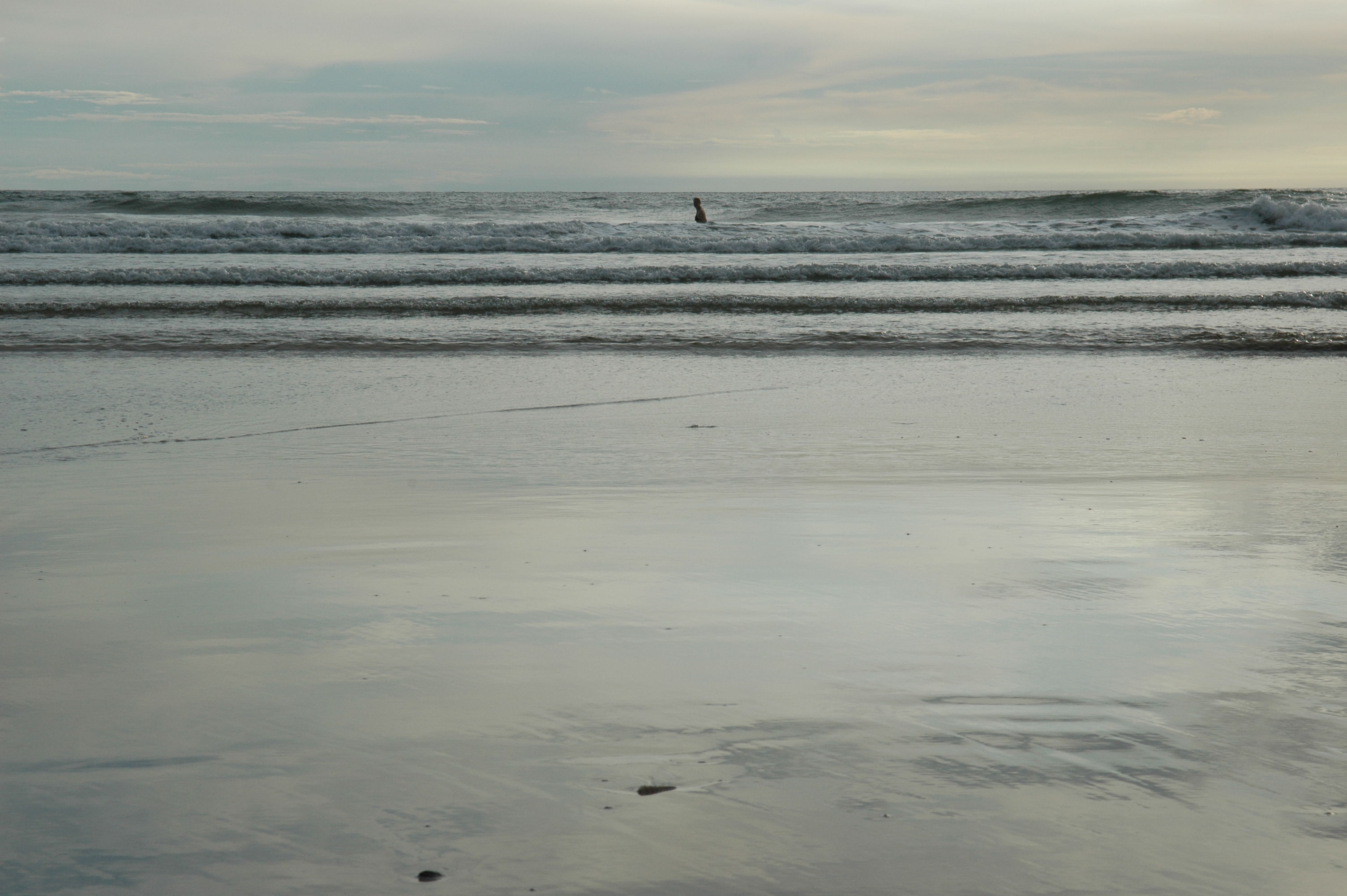 dsc_2454.jpg