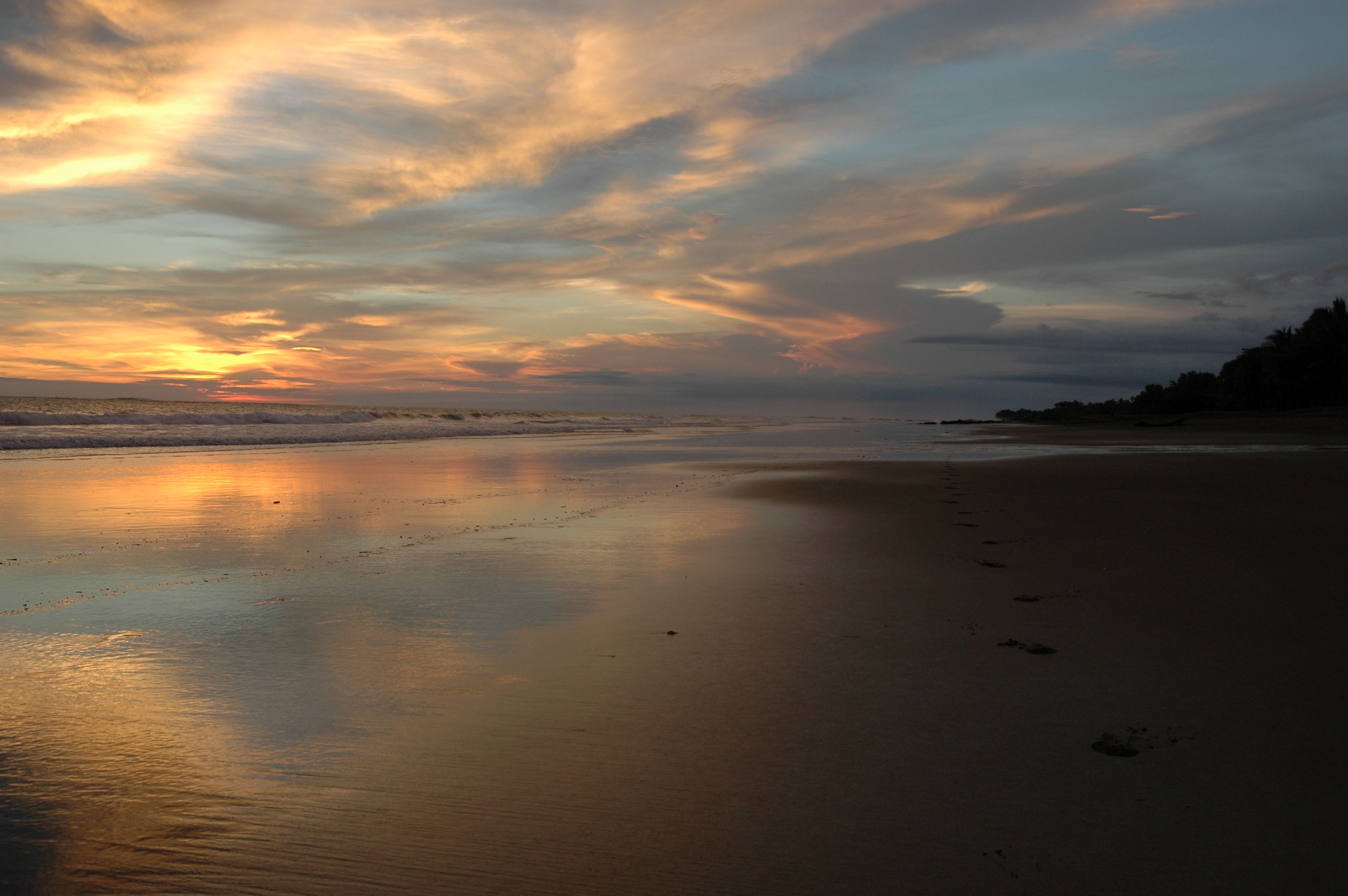 dsc_2468.jpg