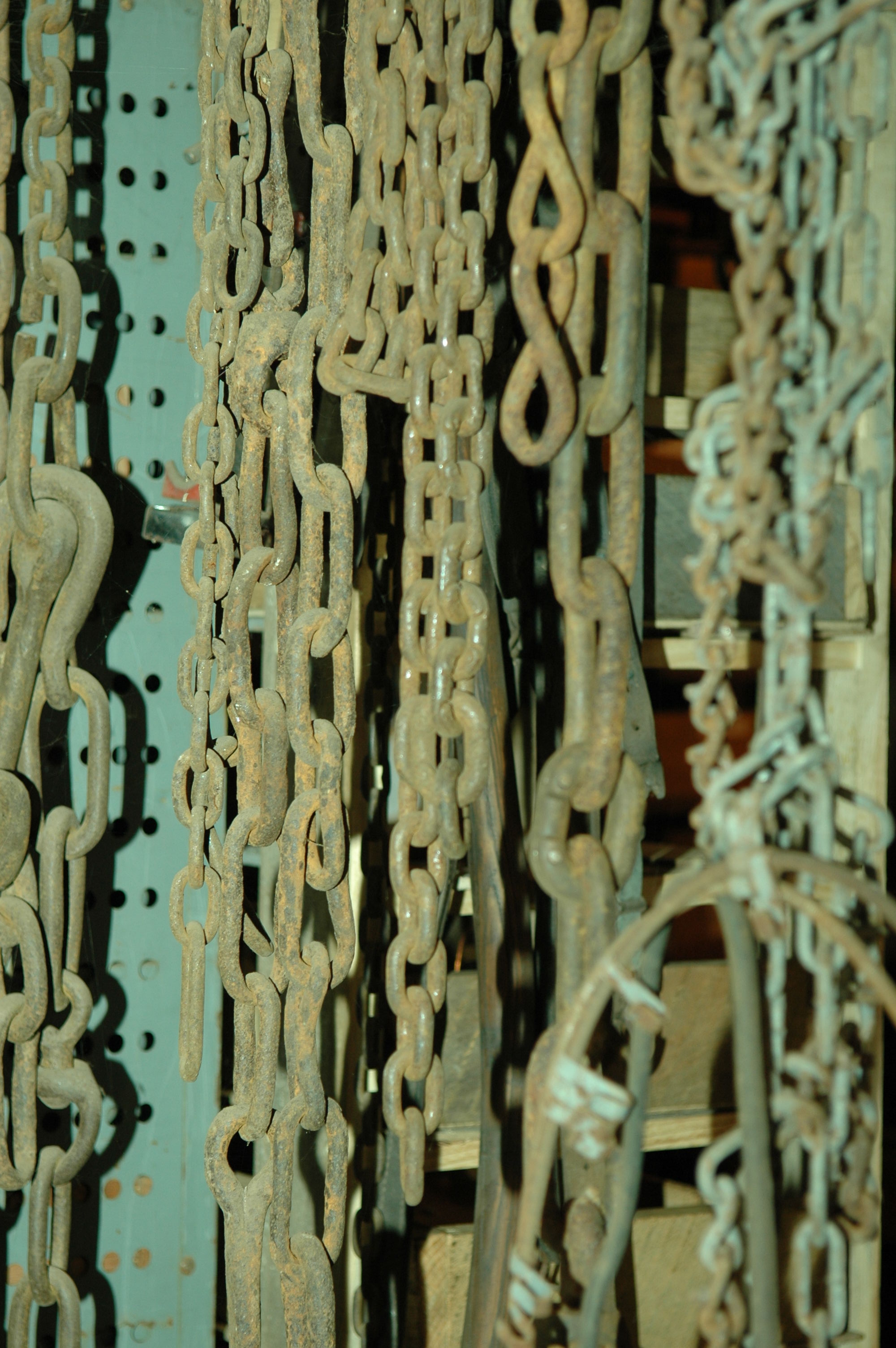 dsc_3203.jpg
