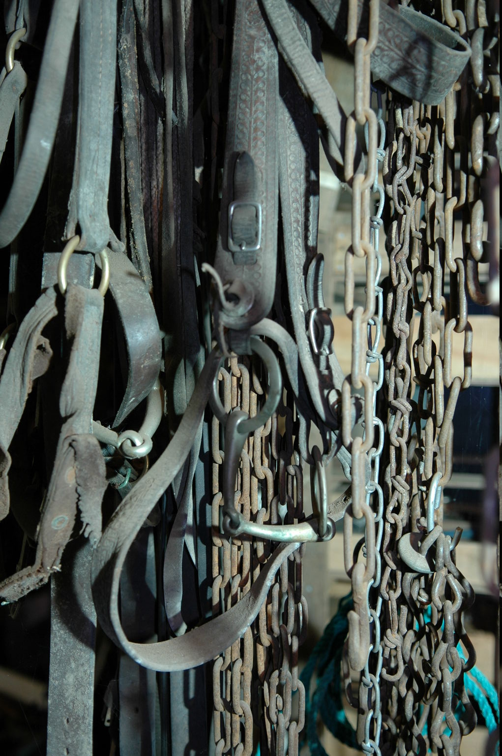 dsc_3214.jpg