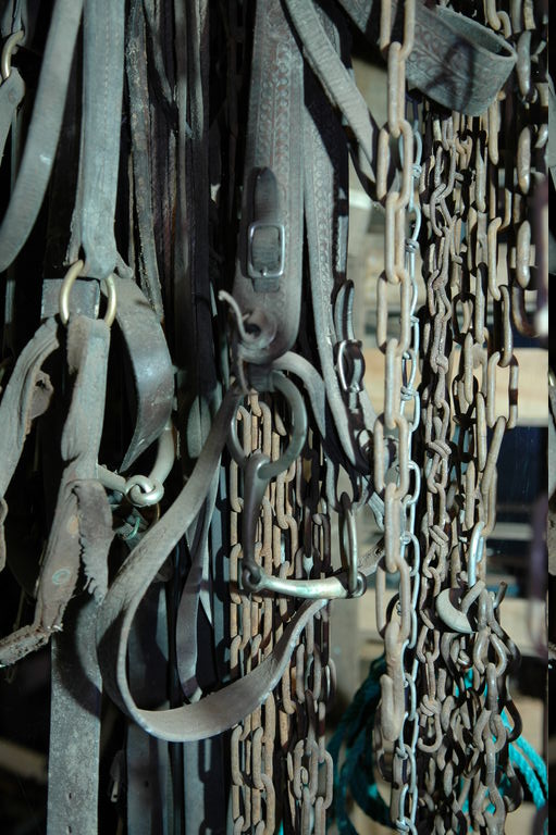 dsc_3214.jpg