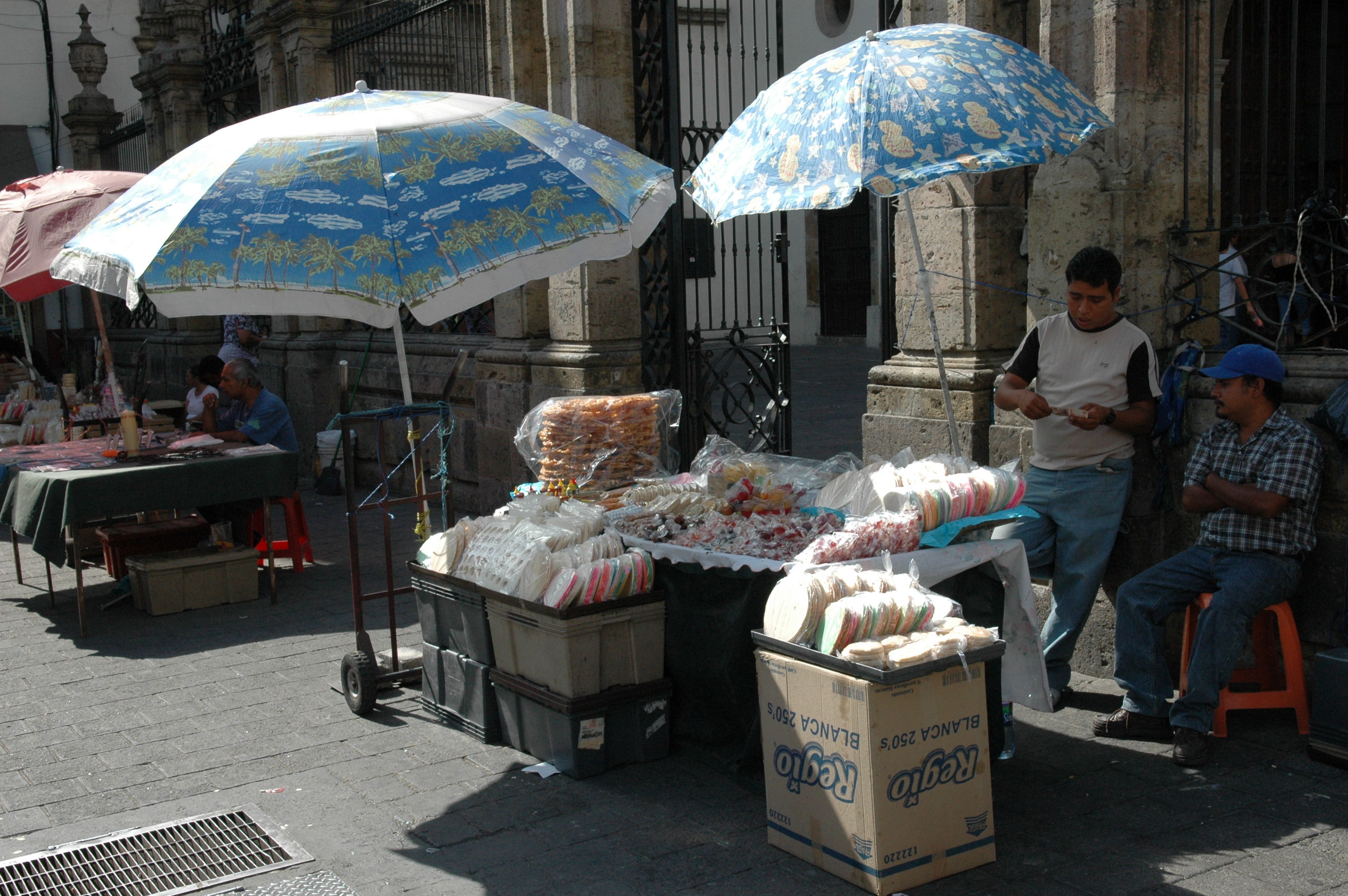 dsc_3516.jpg
