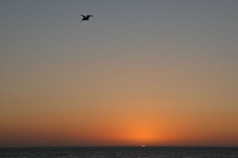 dsc_4074.jpg