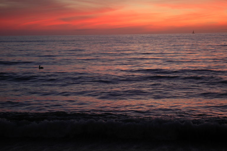 dsc_4143.jpg