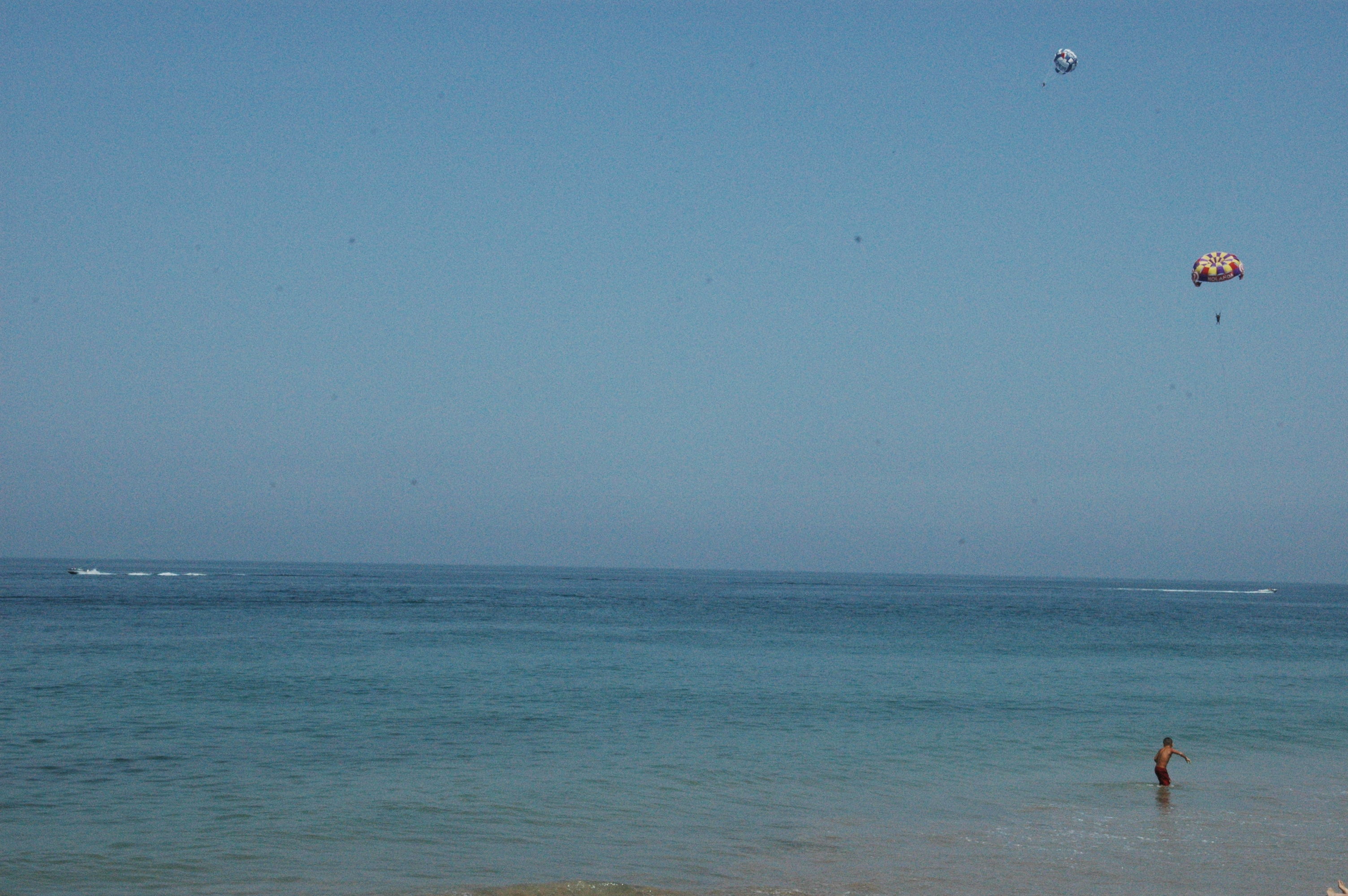 dsc_4239.jpg