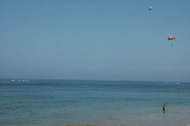 dsc_4239.jpg