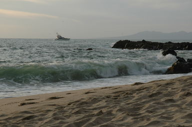 dsc_4351.jpg