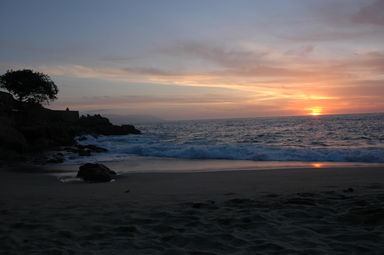 dsc_4393.jpg